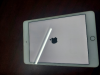 Ipad Mini 4 (Wifi) (iCloud Locked)